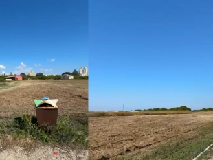 parco-archeologico-di-marsala-la-direttrice-risponde-alla-deputata-regionale-ciminnisi