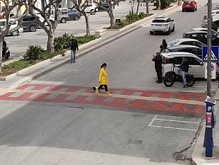 trapani-il-caso-degli-attraversamenti-pedonali-arriva-a-striscia-la-notizia