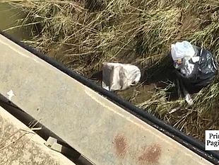video-mazara-cane-abbandonato-in-un-sacco-nel-fiume-mazaro-criminali