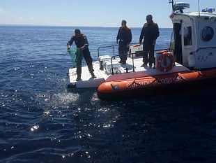 guardia-costiera-sequestrati-4000-ricci-di-mare