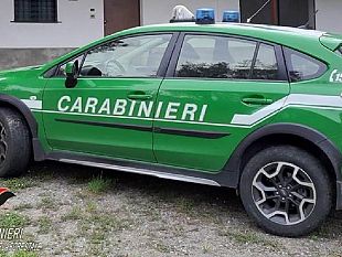 mazara/pantelleria-pilotava-il-drone-su-unarea-protetta-denunciato-videomaker
