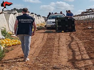 contrasto-al-caporalato-tra-marsala-e-petrosino-denunciati-due-imprenditori-agricoli