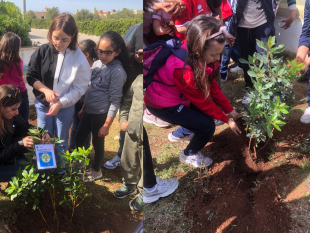 un-albero-per-il-futuro-i-bimbi-di-petrosino-piantano-la-speranza