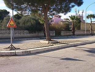 petizione-su-changeorg-no-cemento-ma-alberi-adeguati-in-via-mons-c-trapani
