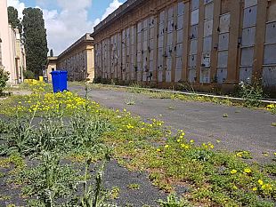 sperimentata-soluzione-green-per-strade-del-cimitero-comunale
