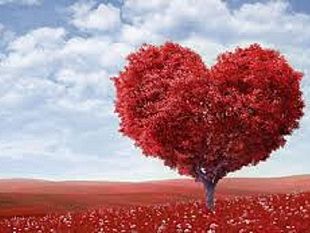 dal-mio-cuore-passi-tu