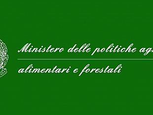 il-tar-lazio-non-accoglie-il-ricorso-in-sede-cautelare-di-un-azienda-contro-la-modifica-dei-disciplinari-della-igt-terre-siciliane-e-della-doc-sicilia