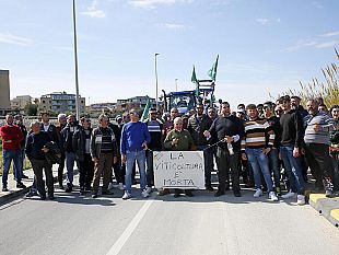 marsala/la-protesta-degli-agricoltori-porta-a-incontri-cruciali-con-il-ministro-lollobricida-e-con-lassessore-sammartino