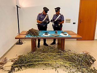 produzione-e-spaccio-di-marijuana-arrestato-59enne-marsalese
