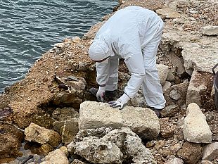 favignana-intervento-di-bonifica-a-cala-rotonda-per-rimozione-amianto