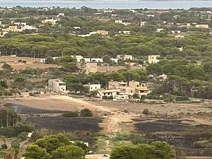 incendio-a-favignana-in-fumo-33-ettari-di-macchia