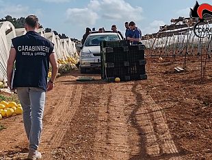castelvetrano/in-provincia-di-trapani-controlli-del-nil-dei-carabinieri-nel-settore-agricolo-e-della-ristorazione