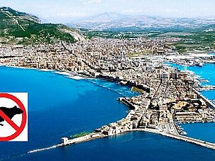 trapani-al-via-derattizzazione-in-5-giornate