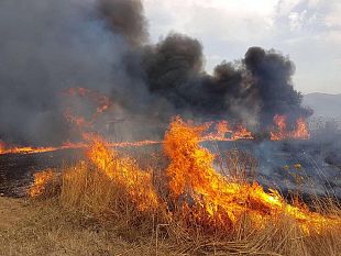 sicilia-incendi-stanziati-25-milioni-per-i-primi-interventi-di-soccorso