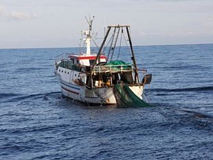 pesca-commissione-propone-piano-per-stock-mediterraneo-occidentale
