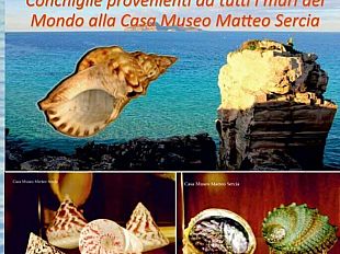 favignana-da-domani-e-possibile-visitare-su-prenotazione-il-museo-malacologico-casa-museo-matteo-sercia