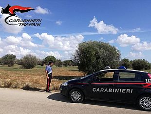 denunciate-due-persone-sorprese-a-rubare-olive-a-castelvetrano