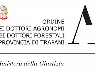 agronomi-e-forestali-e-lalcamese-gaspare-lodato-il-nuovo-presidente-dellordine-provinciale-di-trapani