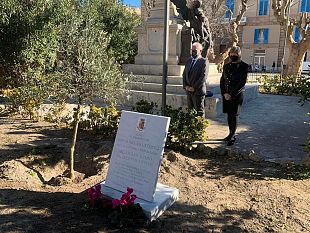 trapani-piantumato-un-ulivo-in-memoria-di-giovanni-palatucci
