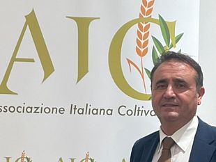 amoroso-aic-pesca-il-ministro-lollobrigida-ascolti-il-nostro-appello-per-non-far-morire-la-pesca-italiana