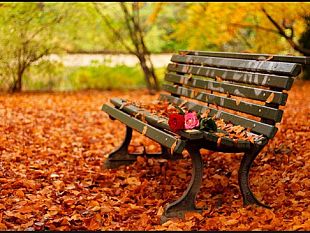 lautunno-che-abbiamo-nel-cuore