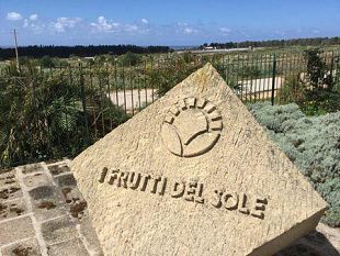 agricoltura-biologica-e-inclusione-sociale-anche-marsala-fa-la-sua-parte