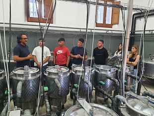marsala-istituto-tecnico-agrario-abele-damiani-avviato-progetto-di-valorizzazione-delle-proprie-produzioni-vinicole