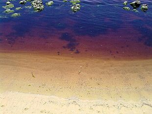 svelato-il-mistero-delle-acque-rosse-sulla-spiaggia-in-citta-sostanze-spia-volute-dall-amministrazione-cristaldi