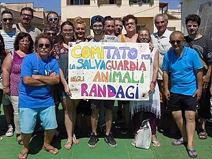 campobello-comitato-per-la-salvaguardia-degli-animali-randagi-incontra-il-sindaco-castiglione