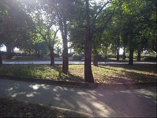 tre-giovani-aggrediti-a-bastonate-per-pochi-euro-al-parco-delle-rimembranze-a-castelvetrano