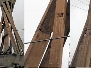 chiusa-al-traffico-la-via-mascagni-rischio-crollo-per-il-fungo-dellacquedotto