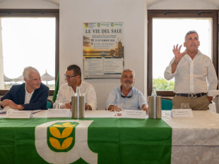 tromba-daria-a-marsala-aziende-agricole-in-ginocchio-danni-ingenti-a-vigneti-oliveti-e-magazzini