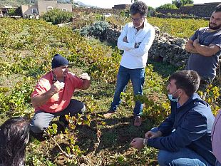a-bukkuram-le-prove-novamont-delle-pratiche-agricole-ecosostenibili