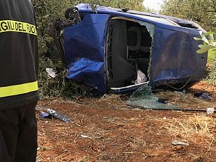 grave-incidente-sulla-sp-81-per-triscina-ferito-un-31enne-sradicato-un-albero-dulivo