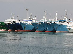 agripesca-sicilia-proficuo-incontro-a-palermo-con-lassessore-scilla-e-il-dirigente-generale-pulizzi