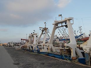 pesca-a-strascico-si-prepara-una-giornata-di-mobilitazione-nazionale