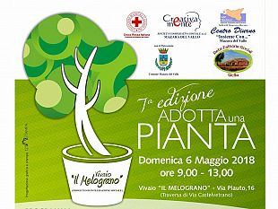 mazara-domani-domenica-6-maggio-appuntamento-al-vivaio-il-melograno-con-adotta-una-pianta