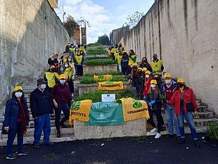 celebrata-anche-a-castelvetrano-la-festa-dellalbero