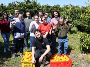 catania-beni-confiscati-alla-mafia-continua-la-raccolta-solidale-di-arance-nel-segno-dellinclusione-sociale