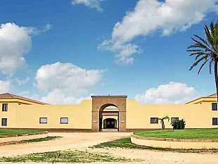 mazara-cantine-aperte-una-domenica-di-festa-per-chi-ama-il-vino-e-la-natura
