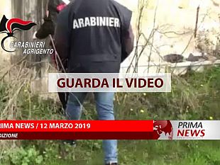 prima-news-12-marzo-prima-edizione