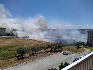 trapani-vasto-incendio-brucia-unintera-distesa-di-vegetazione