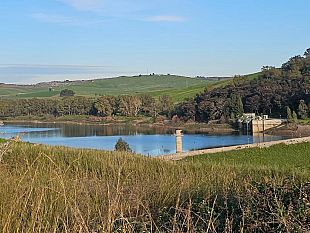 mazara/dighe-trascurate-in-provincia-di-trapani-lappello-delle-organizzazioni-sindacali-confsal-copagri-e-federagri