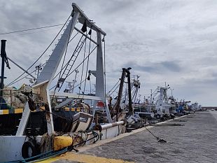 pesca-lassessore-scilla-firma-il-fermo-biologico-2022