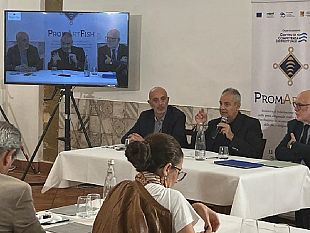 marsala/a-marsala-l11-e-il-12-ottobre-la-1-edizione-del-progetto-promartfish