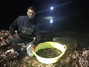 trapani-azione-di-contrasto-alla-pesca-delle-oloturie