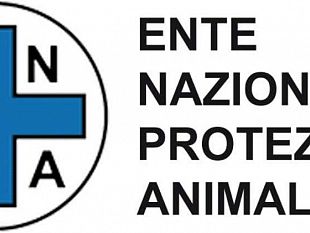 nota-dellenpa-mazara-su-vicenda-del-cane-aggredito-si-sta-cercando-un-capro-espiatorio-sulla-pelle-di-altri-cani-innocenti