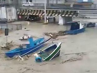 solidarieta-del-distretto-pesca-agli-operatori-del-fiume-mazaro-carlino-superare-impasse-per-avviare-al-piu-presto-escavazione-del-porto-canale-mazarese