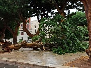 tempesta-alle-6-del-mattino-danni-per-le-eritrine
