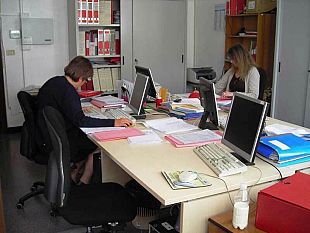 comitato-lavoratori-co-co-co-scuola-trasferimenti-personale-ata-di-ruolo-su-posti-in-organico-di-diritto-inesistenti